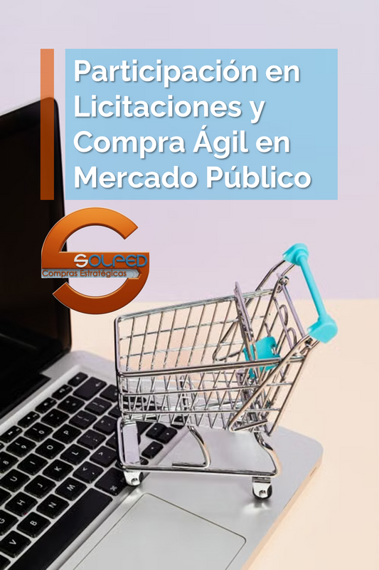Curso: Participación en Licitaciones y Compra Ágil en Mercado Público